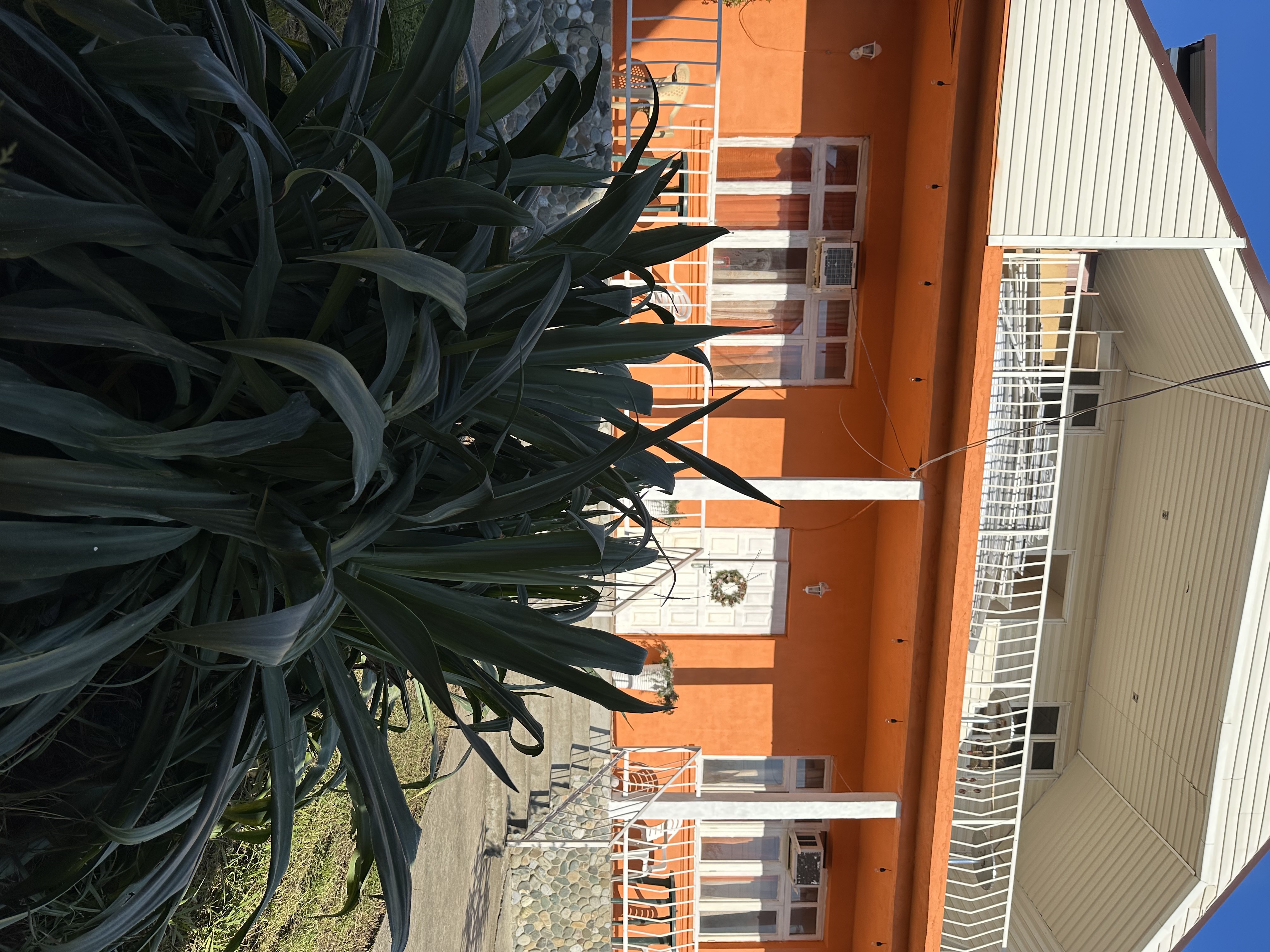 Фото Гостевой дом Петрович