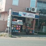 Sheegio Trading Enterprise (Trotro Street, 814), grocery