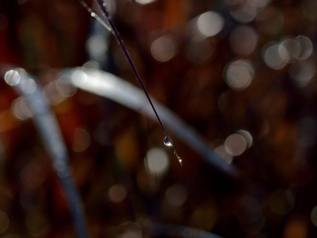 Фото Byemuang Khaokho Resort View Talaymok