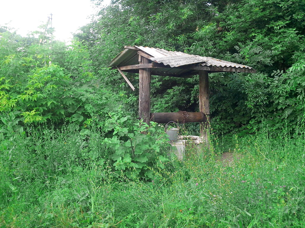 Parque de cultura y ocio Региональный памятник природы парк-усадьба села Калиново, , foto