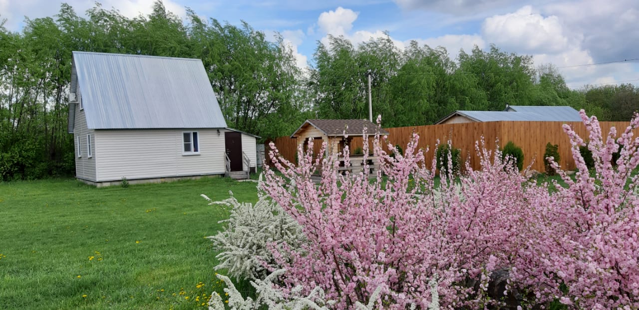 Фото Казанский луг