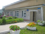 Library (Babynino Settlement, Lenina Street, 17), library