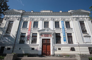 Tsentralny muzey Tavridy (Симферополь, улица Гоголя, 14), museum