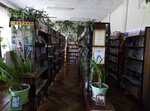 Спасская сельская библиотека № 25 (selo Spasskoye, Tsentralnaya ulitsa, 5В), library