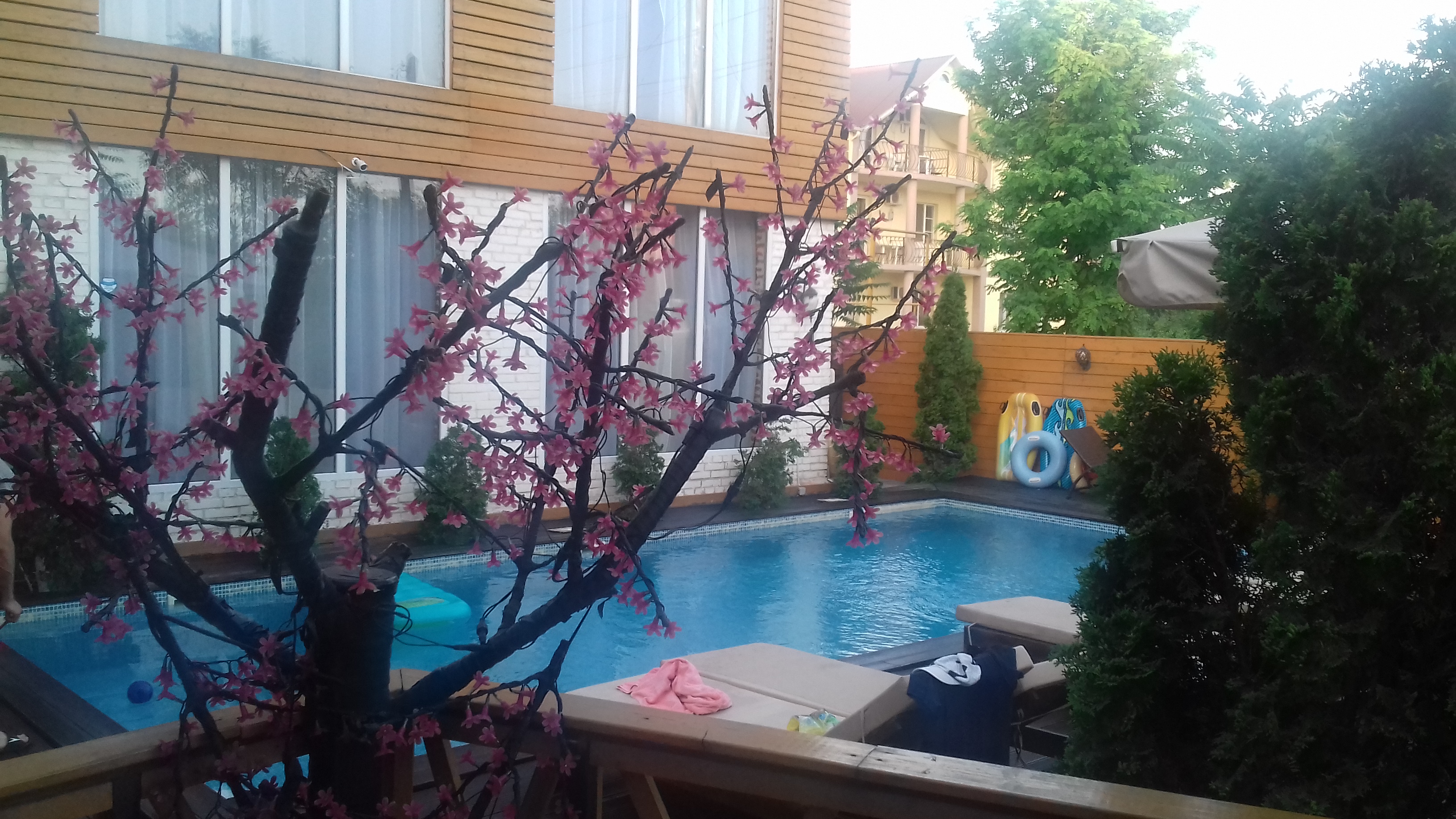 Фото Дольче Вита