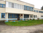 Смолинский Дом культуры (selo Smolino, Dorozhnaya ulitsa, 3А), house of culture