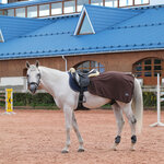 Pervaya Konnaya Manufactura (Simonova Street, 15), horse harness