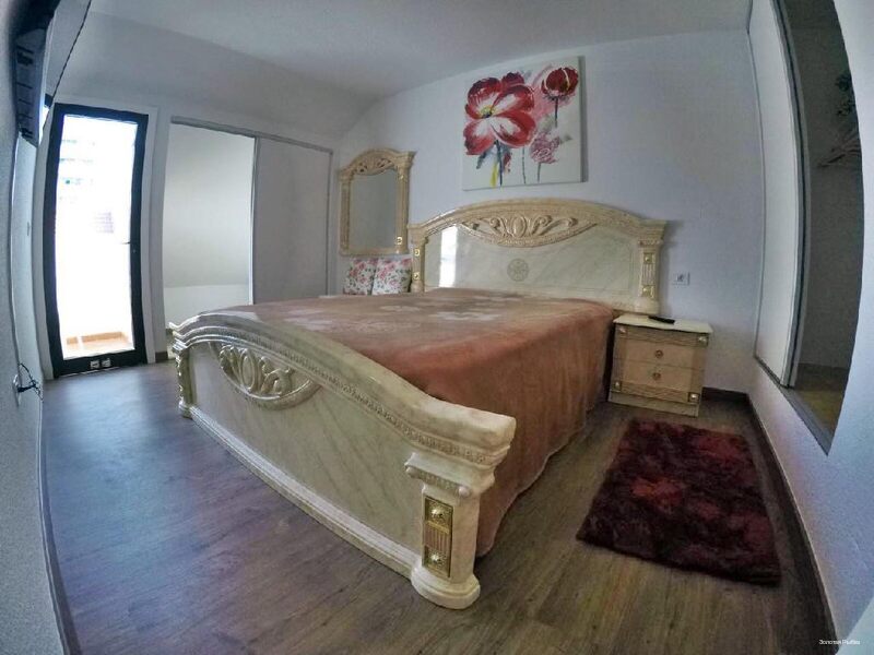 Фото Золотая рыбка