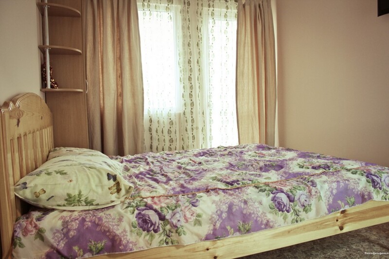 Фото Дельфиниум