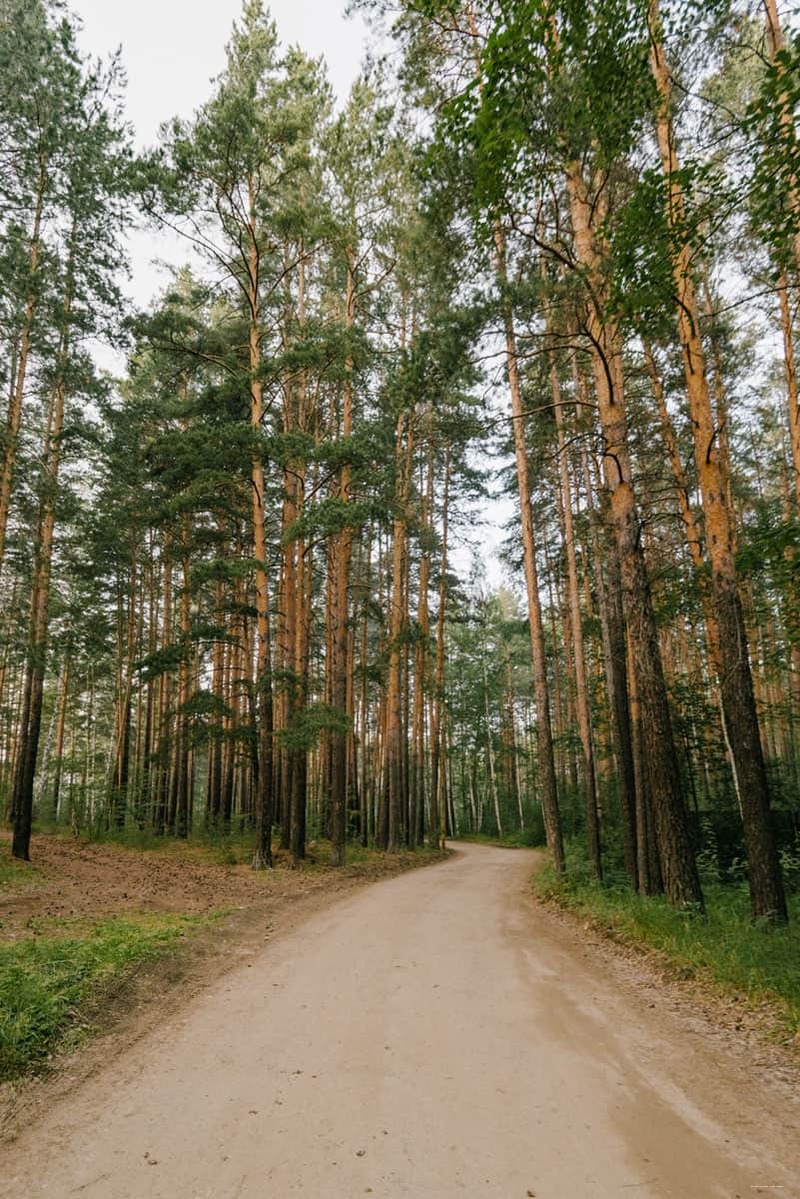 Фото Хутор Увильды