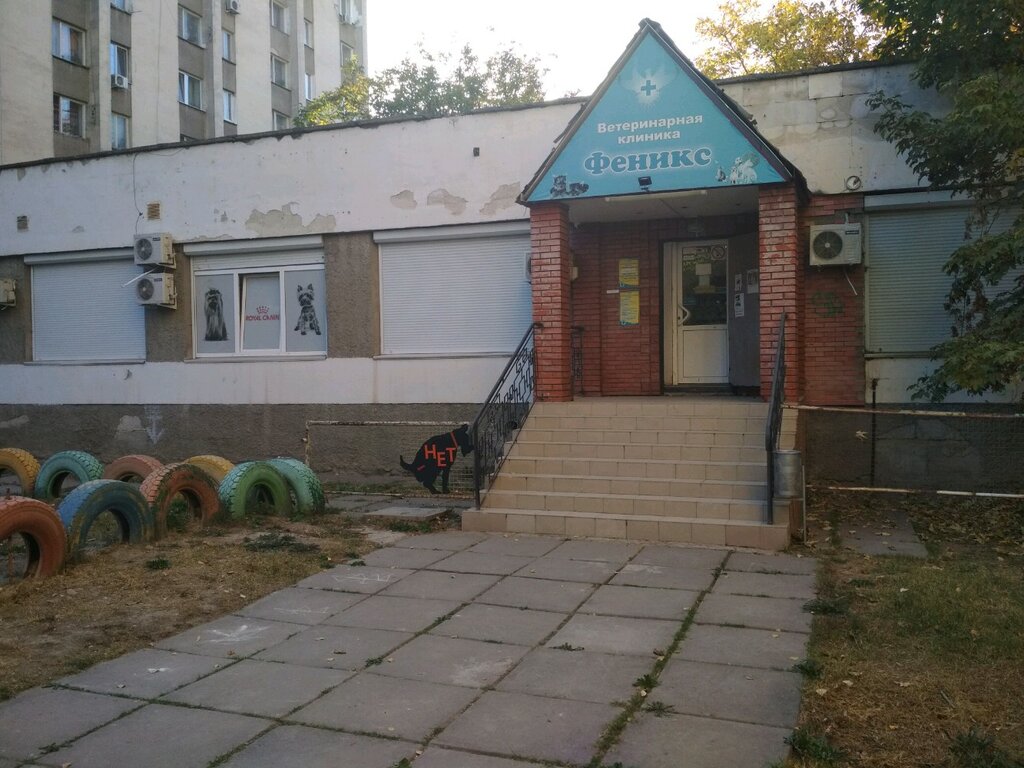 Ветеринарная клиника Феникс, Симферополь, фото