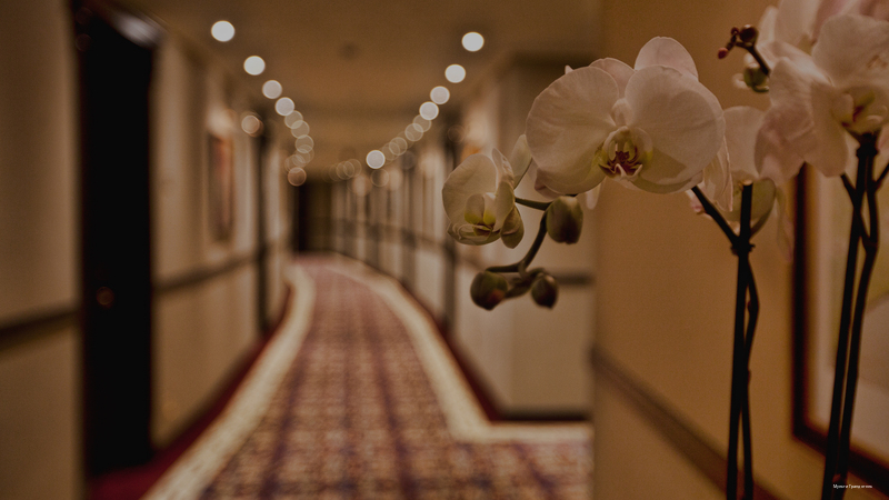 Фото Мульти Гранд отель