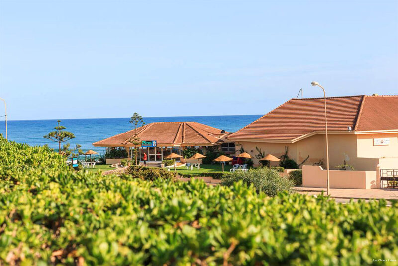 Фото Les Oliviers Palace