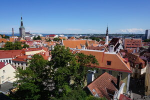 Kohtuotsa Vaateplatvorm (Tallinn, Kohtu street, 10), observation deck