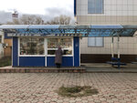 Улица Бехтерева (Lenina Street, 5Б), public transport stop