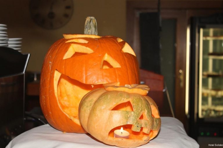 Фото Hotel Solisko