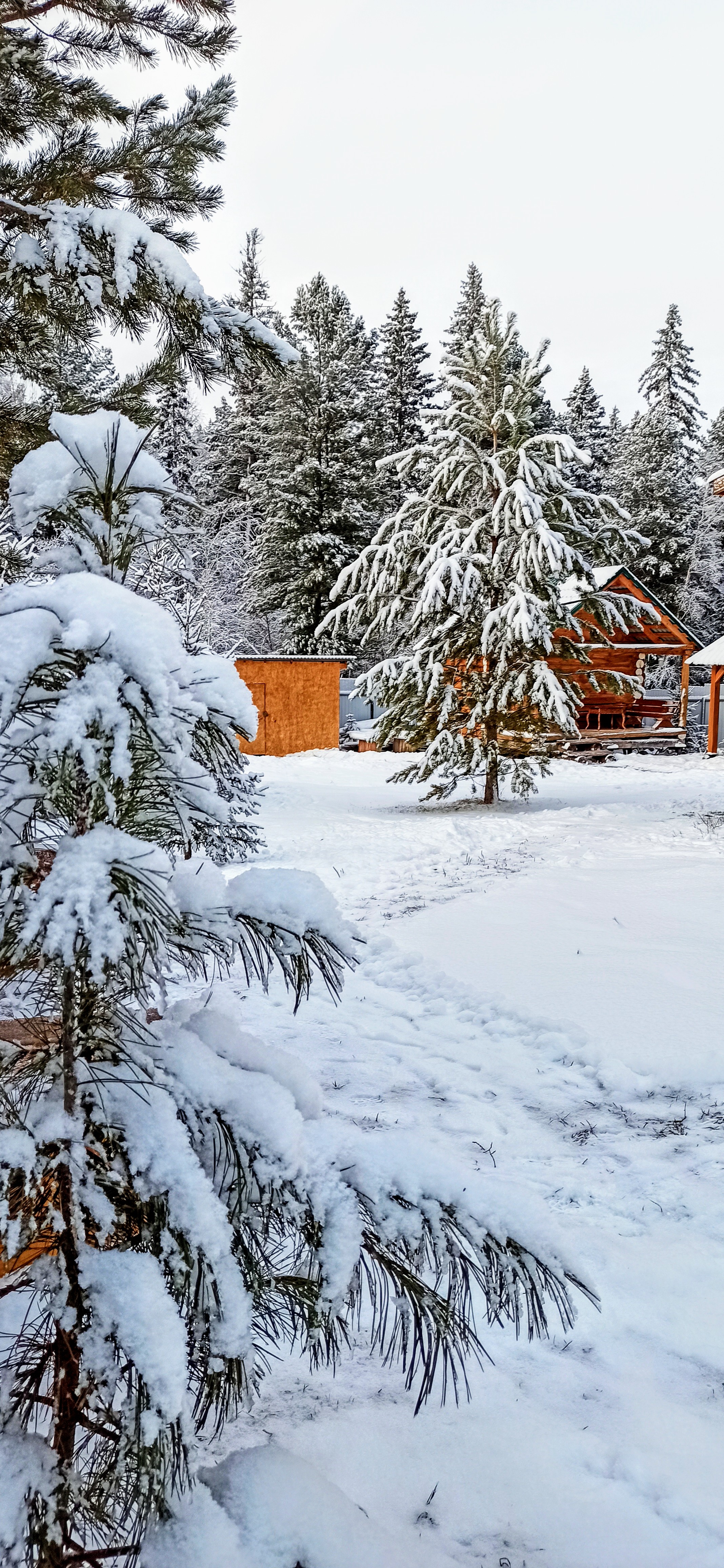 Фото Деревенская усадьба