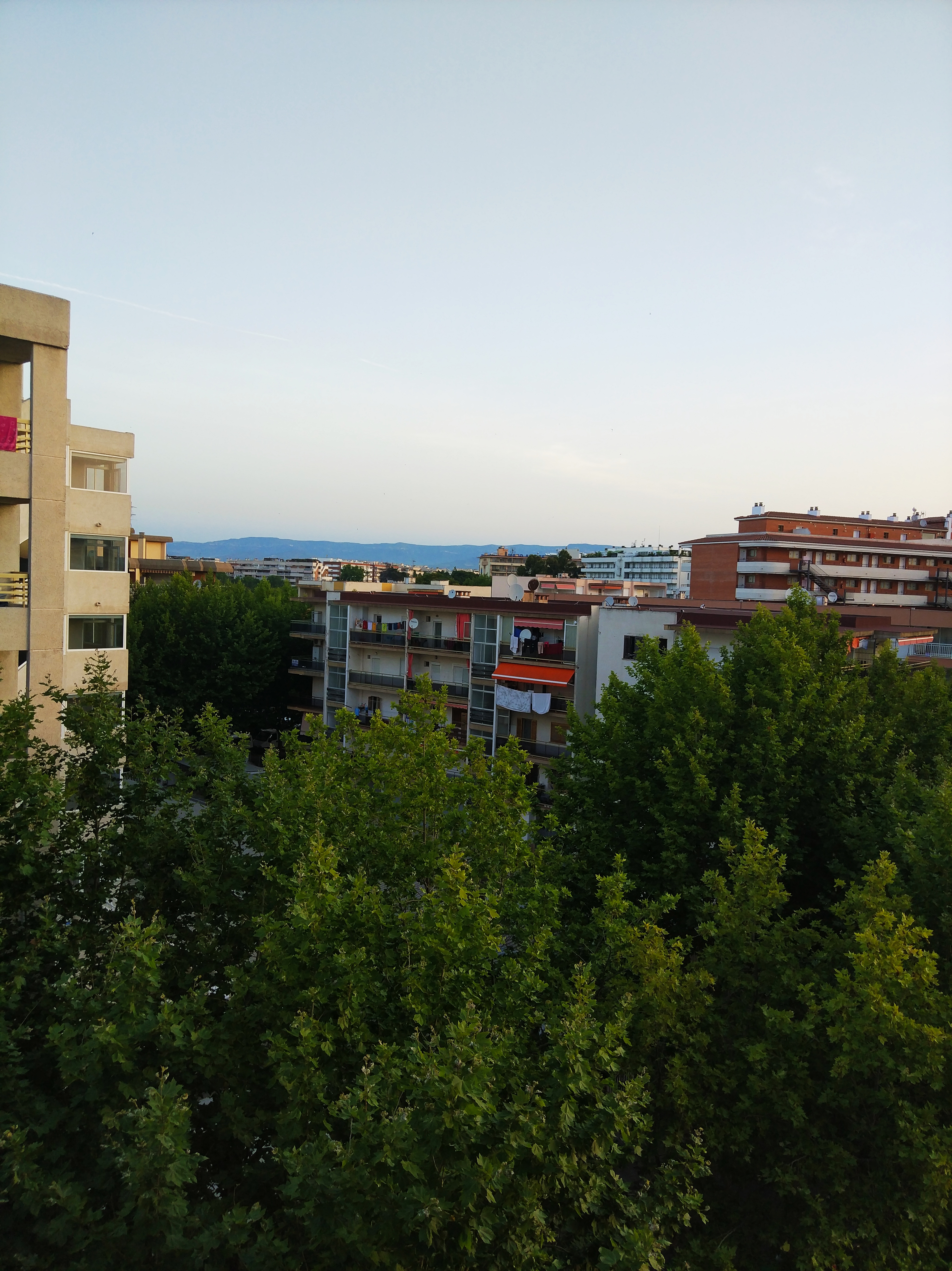 Фото Best Da Vinci