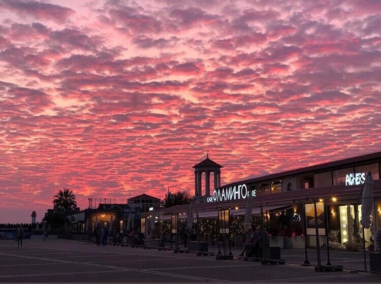 Cafe Flamingo Cafe, Sochi, photo