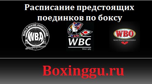 Information website News boxing end mma, Nice, photo