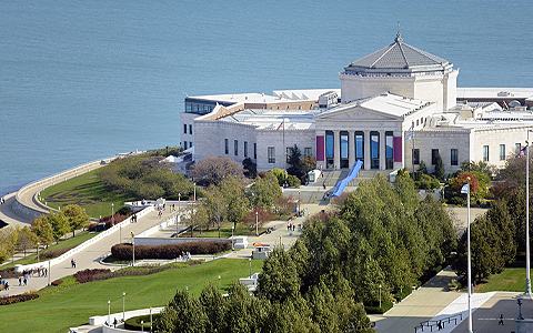 Фото InterContinental Chicago Magnificent Mile, an Ihg Hotel
