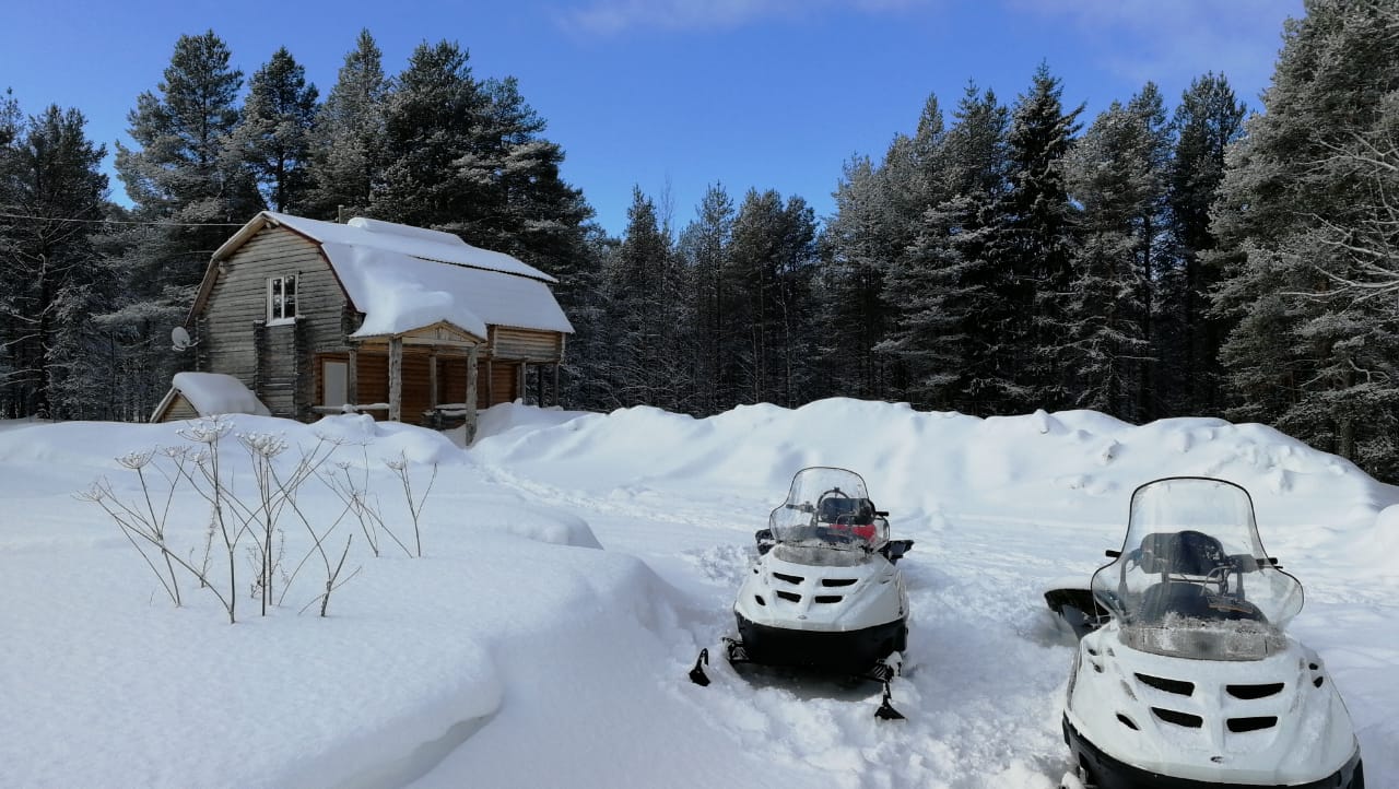 Фото Лось&Мох