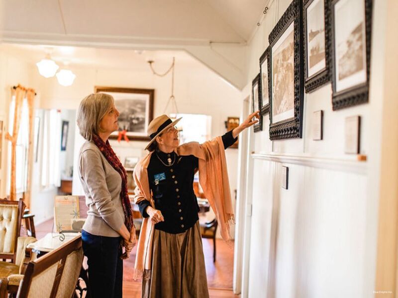 Фото Blue Dolphin Inn