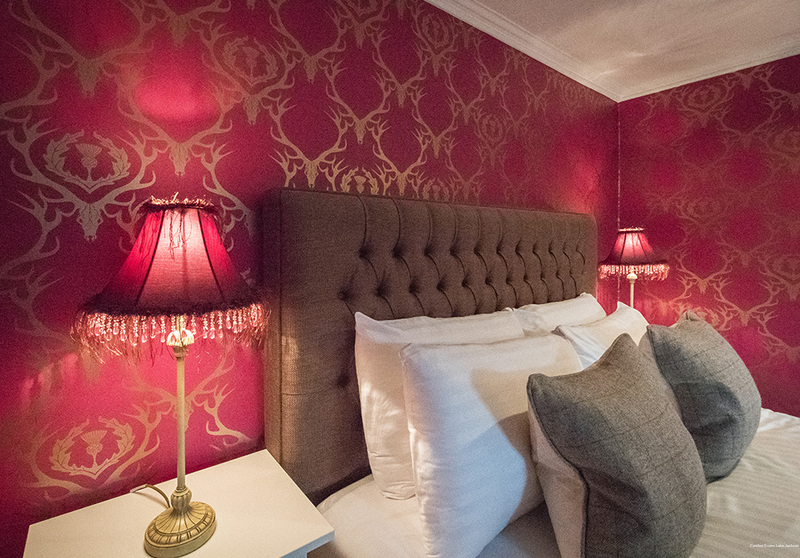 Фото Comfort Suites Lake Jackson Clute