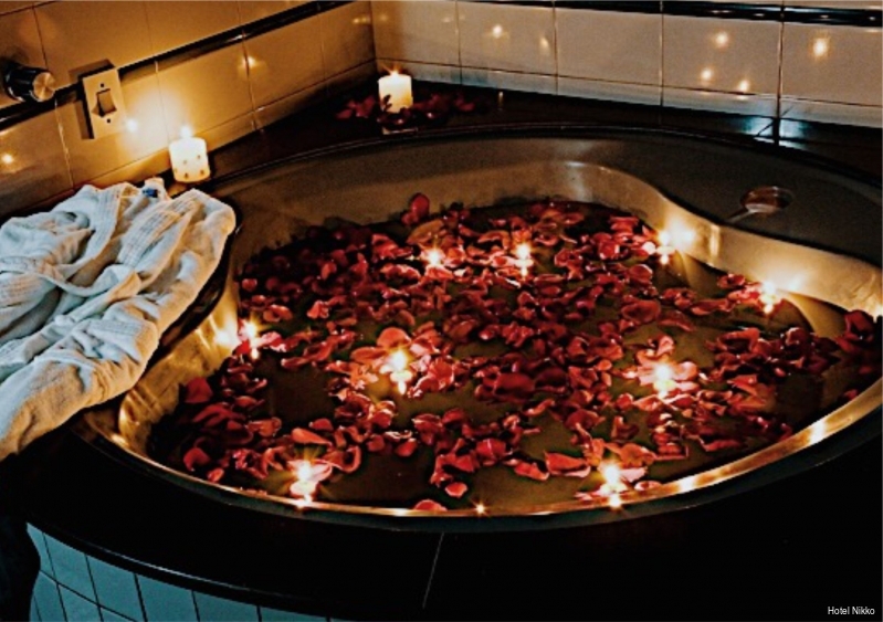 Фото Hotel Nikko