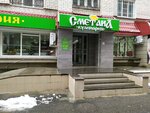 Сметана (50 let VLKSM Street, 28/2) ، مقهى