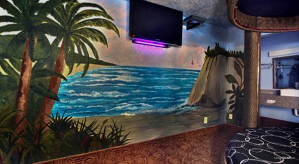 Фото Carolina Lodge