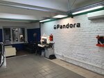 Pandora-auto (Tashkentskaya Street, 28с1), car alarm