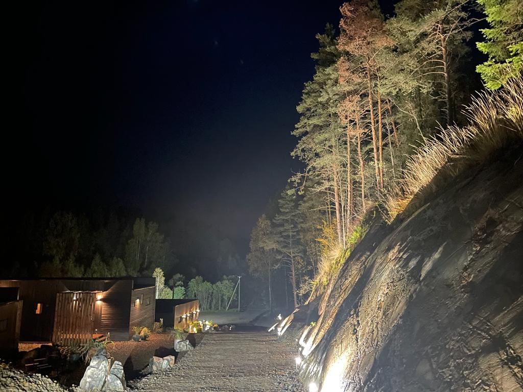 Фото Шелест