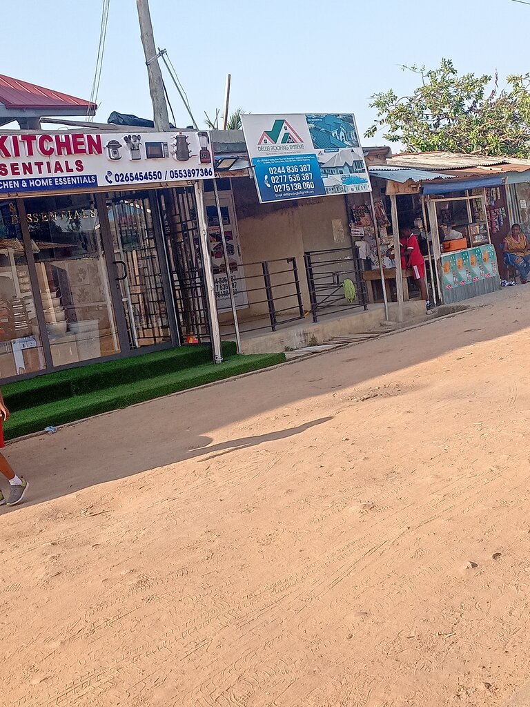 Roofing and roofing materials Dellis Roofing System, Earth, photo