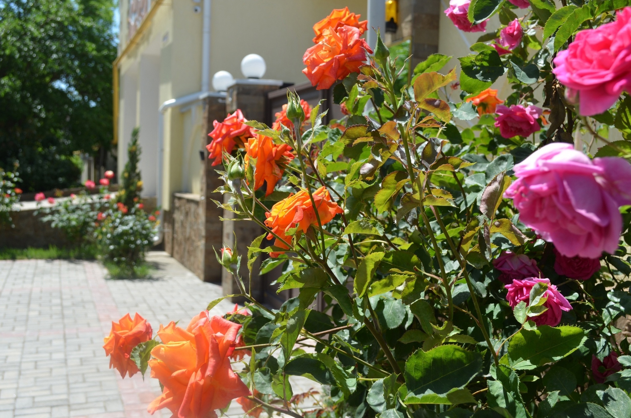 Фото Миру Мир