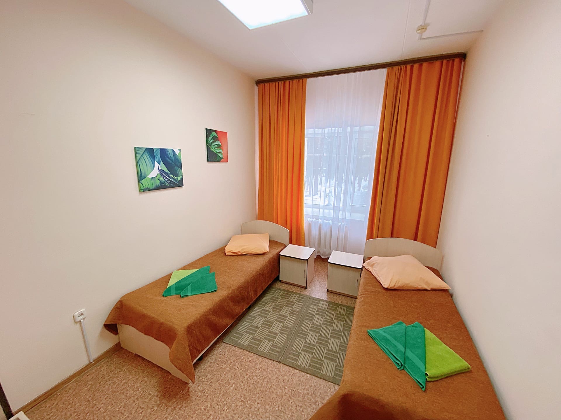 Фото Сосновый бор