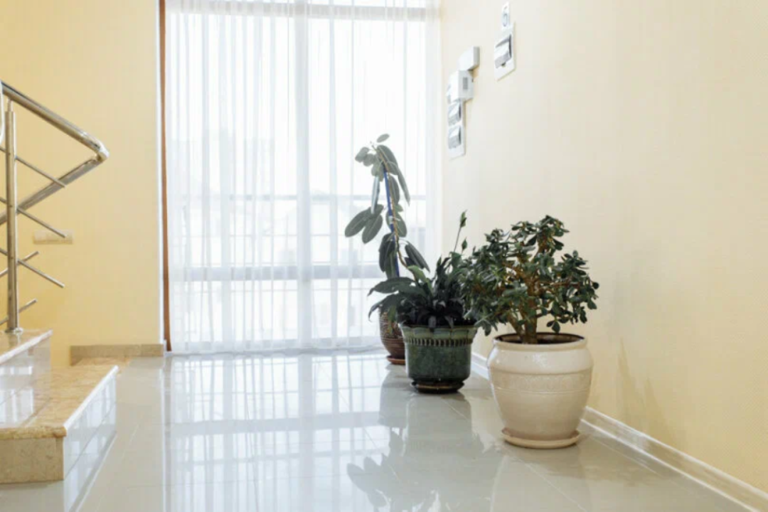 Фото Аркадия+