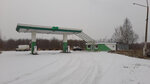 Go (Strelna Settlement, ulitsa Nizhnyaya Koloniya, 49В), gas station