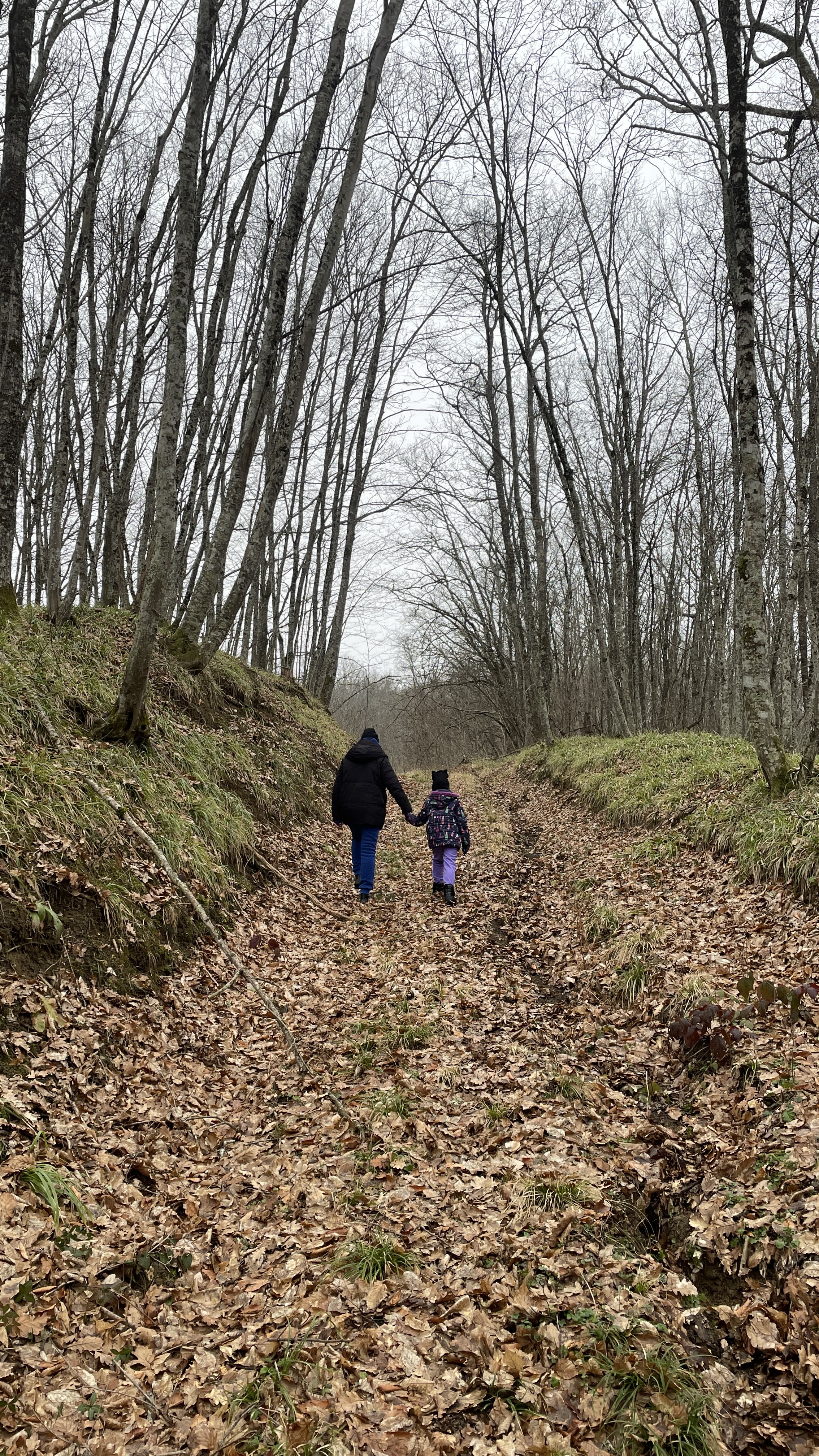 Фото Загородный клуб Ласточкино Гнездо