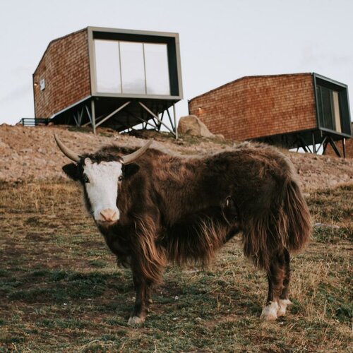 Гостиница Tenir Eco Hotel в Алматы