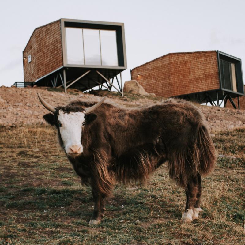 Фото Tenir Eco Hotel