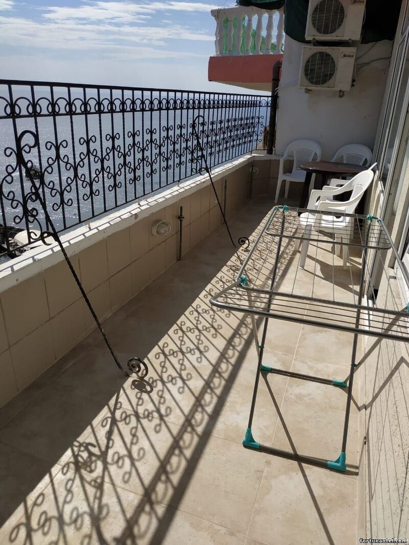 Фото Фортуна