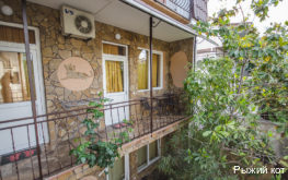 Фото Рыжий кот