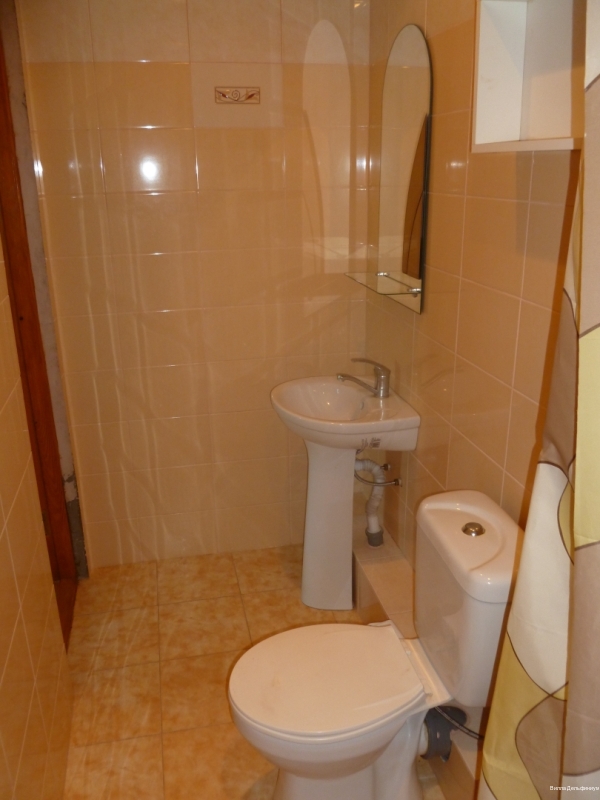 Фото Дельфиниум