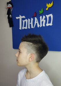 Tonako (Il'icha Avenue, 33), training of masters for beauty salons