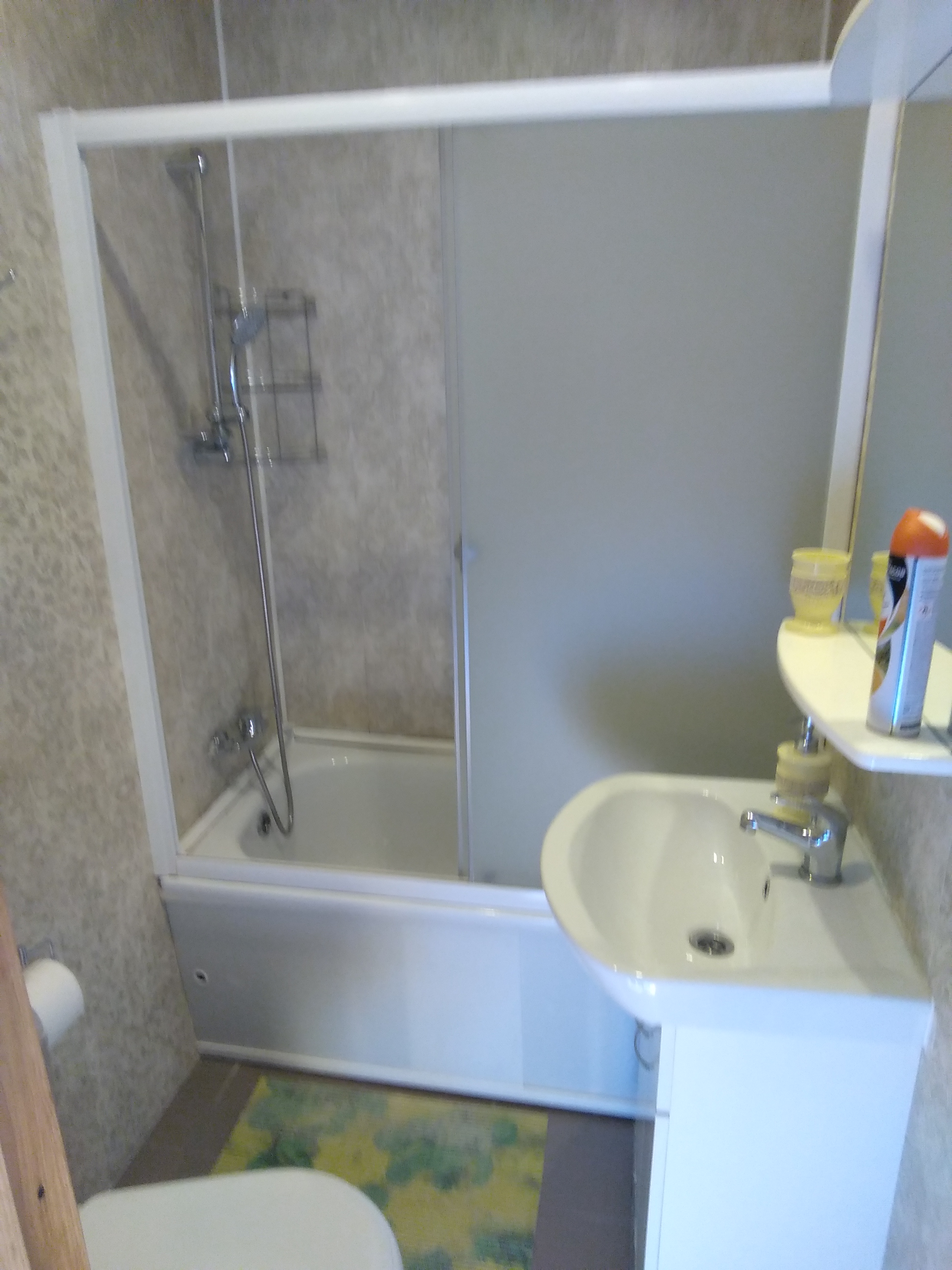 Фото Толстый кот