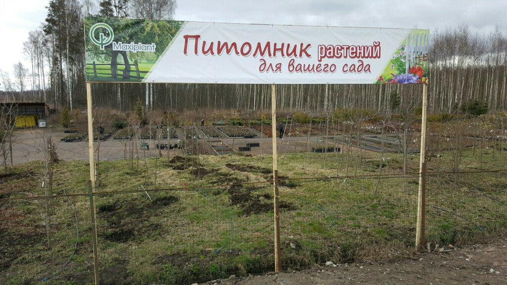 Магазин Садовод В Осеево