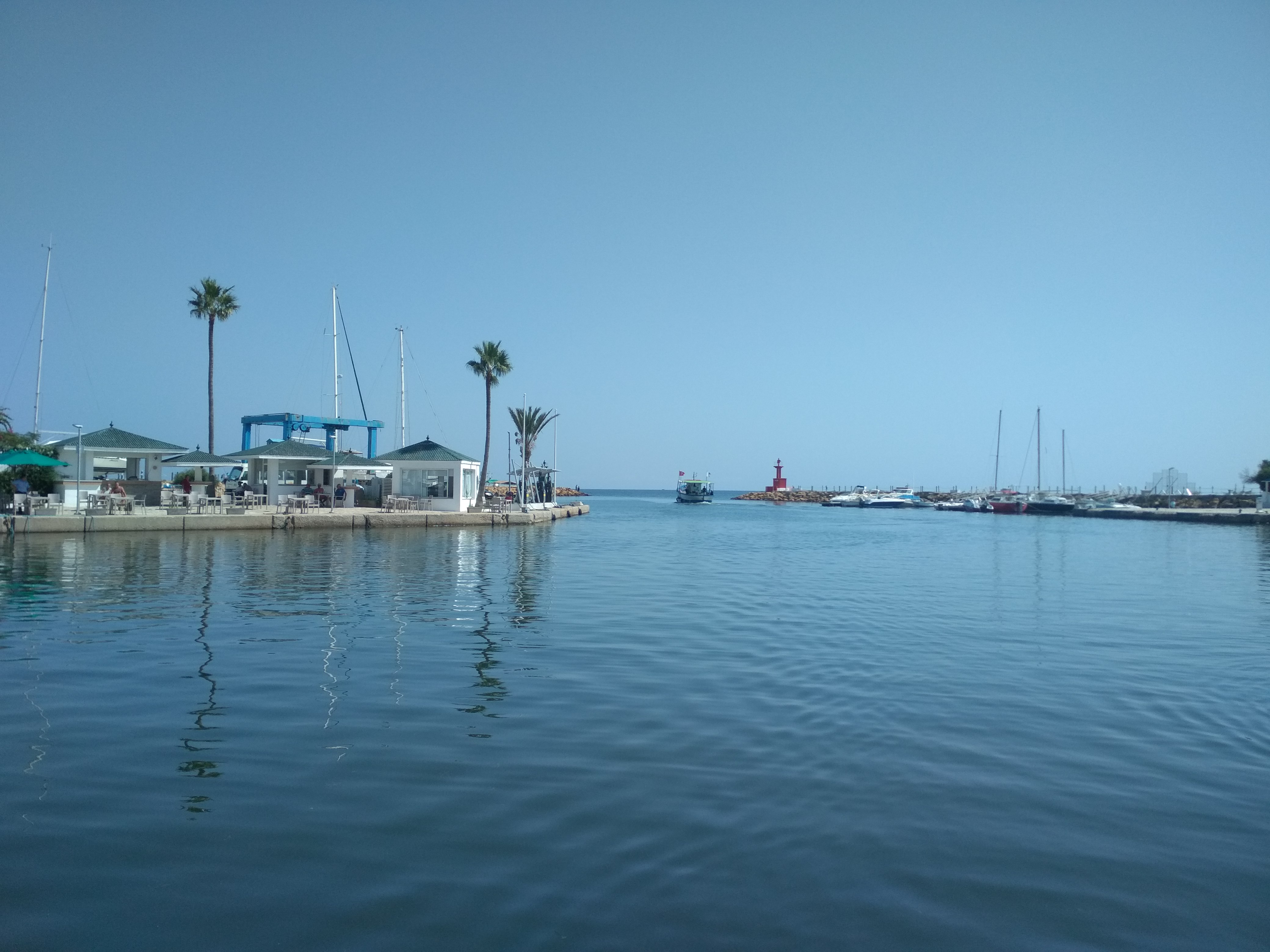 Фото 135145736636