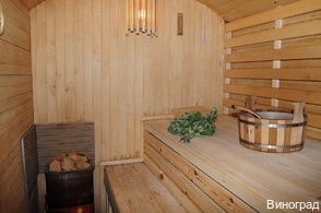 Фото Виноград