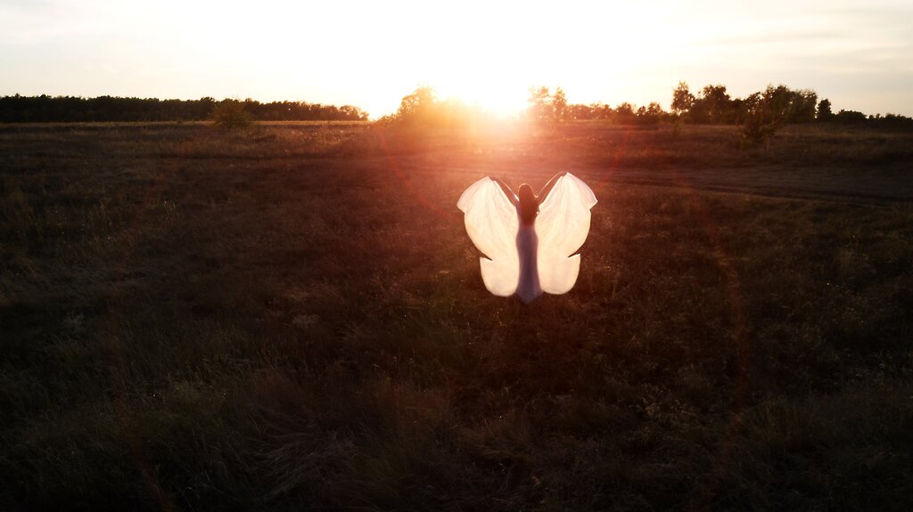 التصوير الفوتوغرافي Wedding photographer Alexander Penkin ، فورونيج، صورة